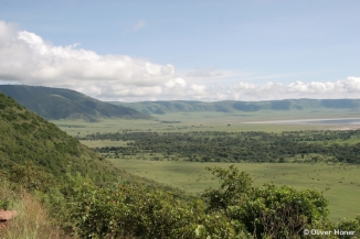 View of the western side of the Ngorongoro Crater