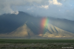 Rainbow above the territory of the Triangle Clan